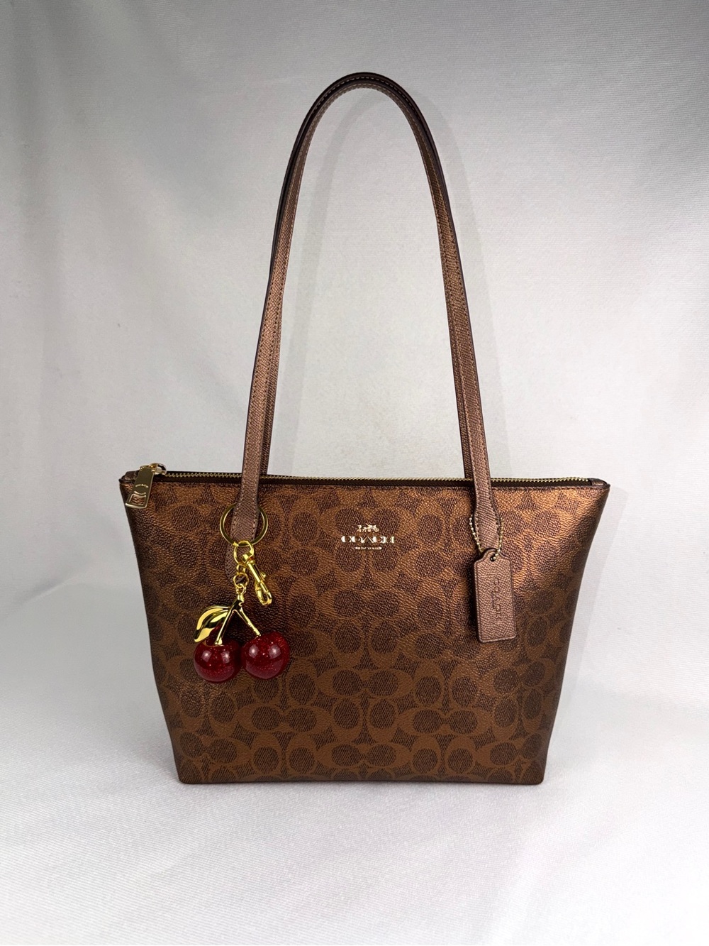 Coach Fiona Zip Tote NWOT